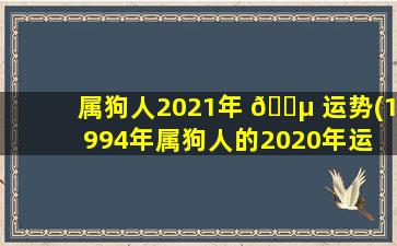 属狗人2021年 🐵 运势(1994年属狗人的2020年运 🦋 势)